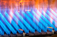 Hoylake gas fired boilers